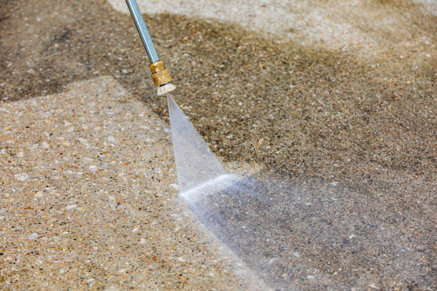 Best Animal Enclosure Cleaning  in East Sparta, OH